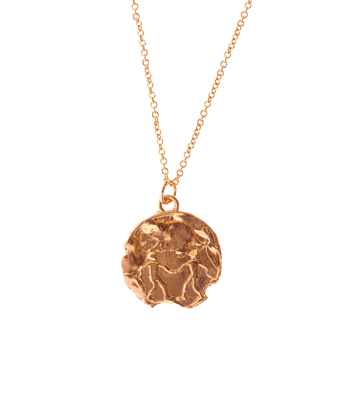 The Gemini Medallion