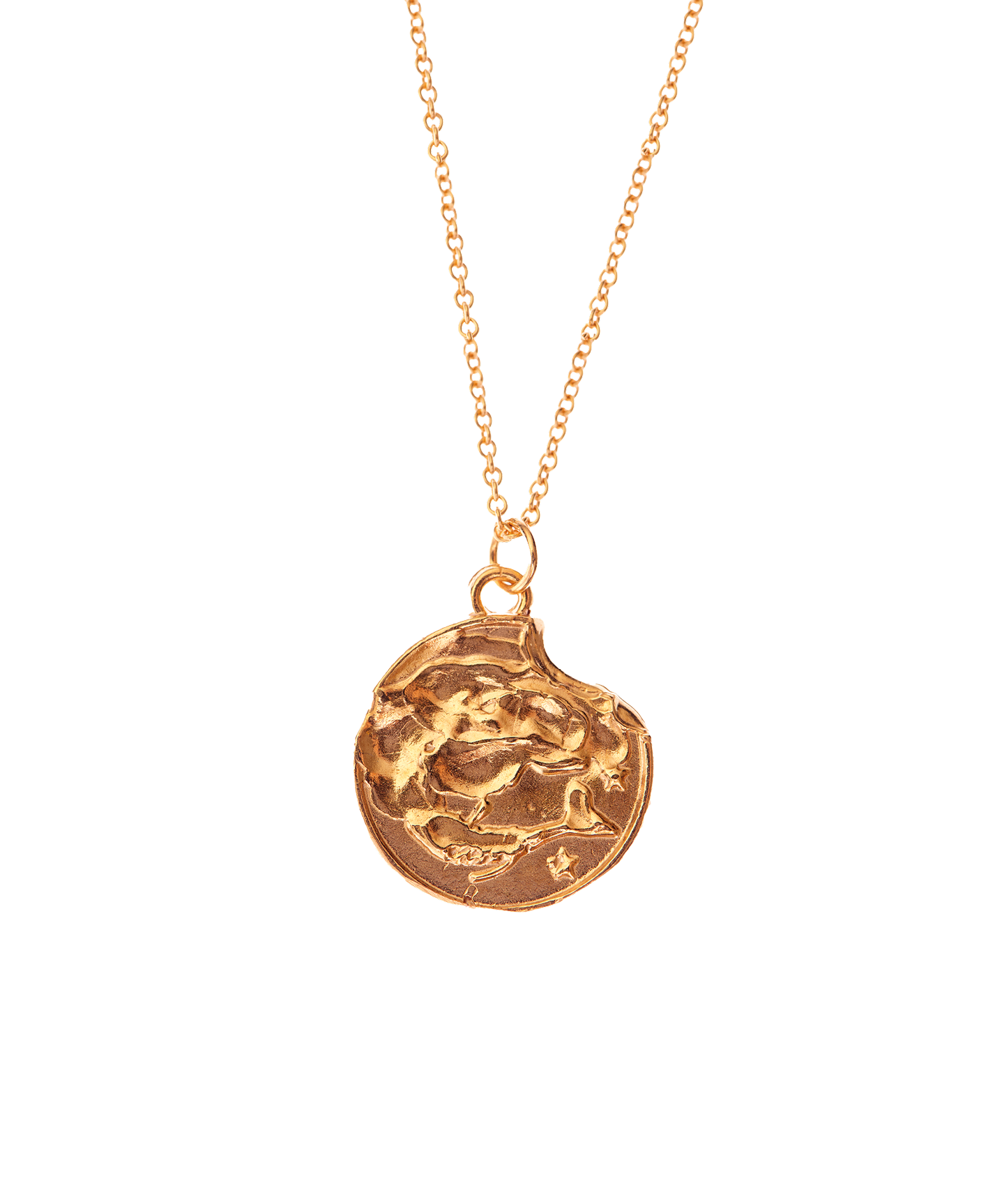 The Pisces Medallion