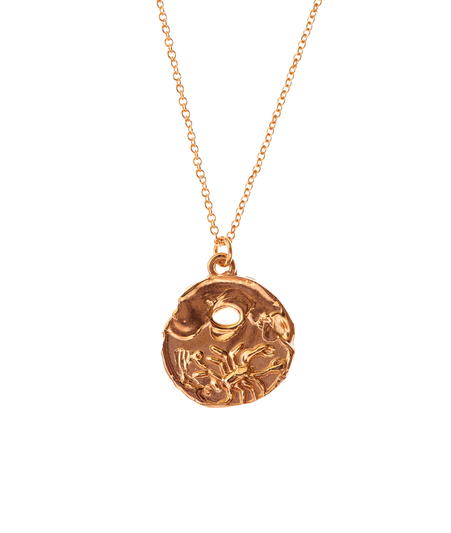 The Scorpio Medallion