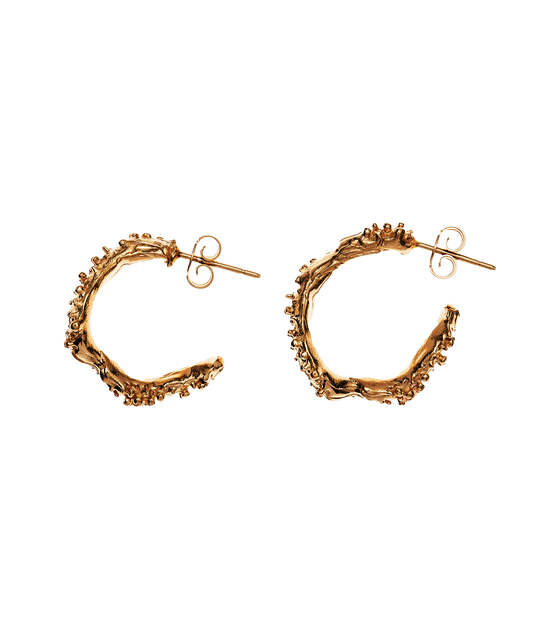 The Lunar Rocks Hoops