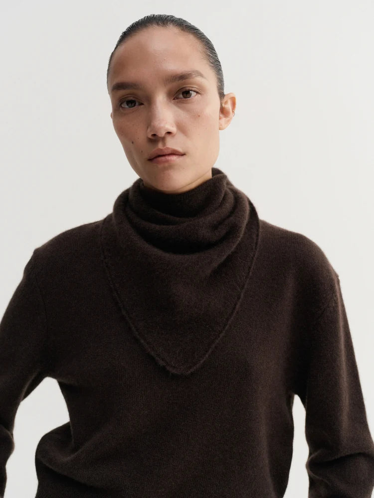 Person wearing a brown turtleneck sweater against a plain background