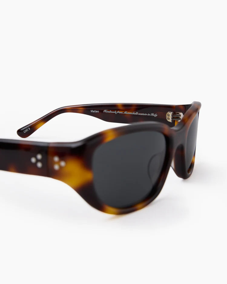 Sunglasses with tortoiseshell frame and dark lenses on a white background